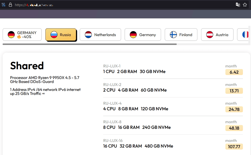 Webpage of one of the pinned server services offered on XSS. 